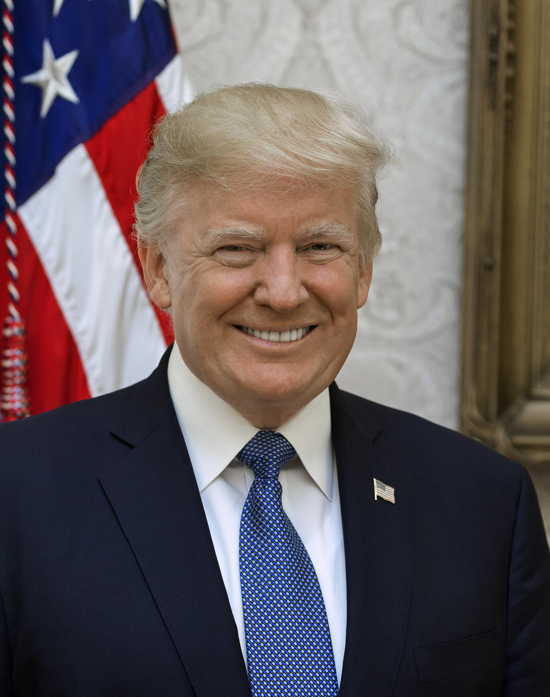 President Donald Trump poses for his official portrait at the White House in Washington, D.C.